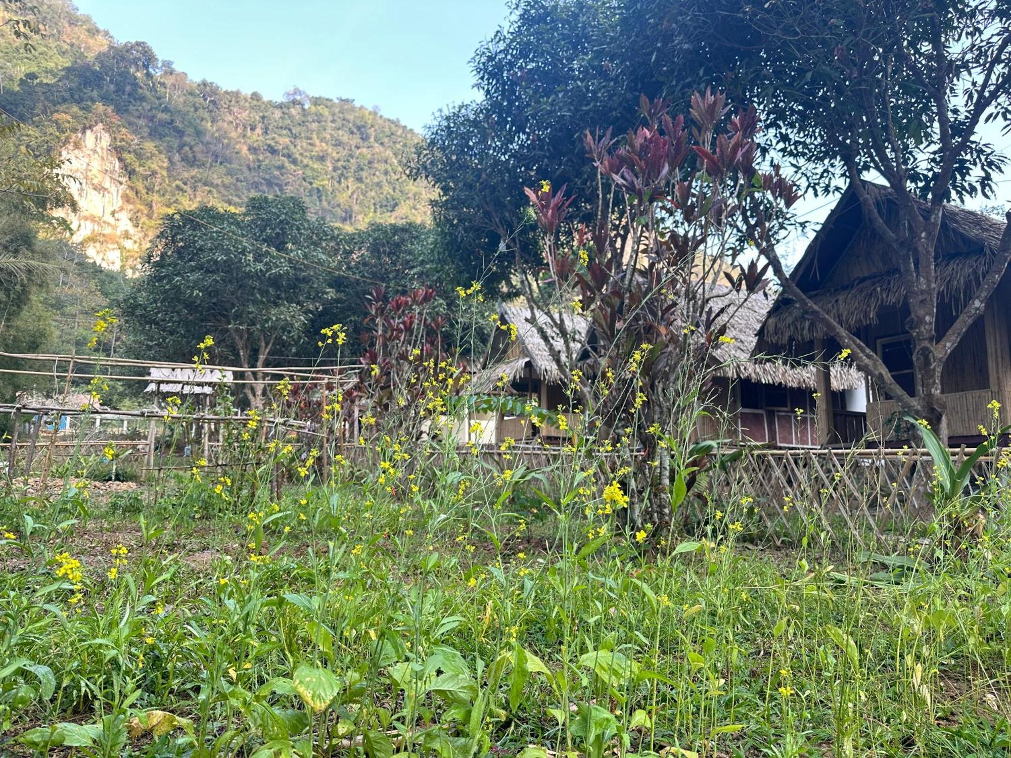 Mingkhuan Eco Homestay Nongkhiaw Exteriör bild